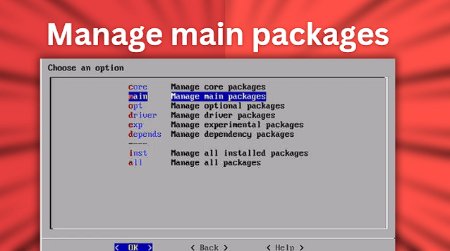 RetroPie manage main packages