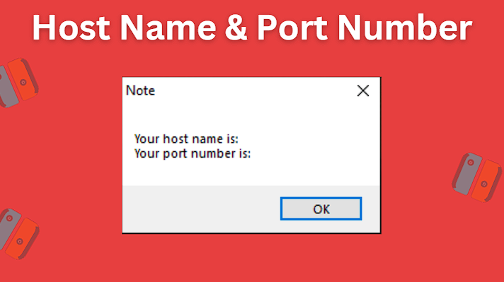 Host Name and Port Number for Snes9x Netplay Tutorial