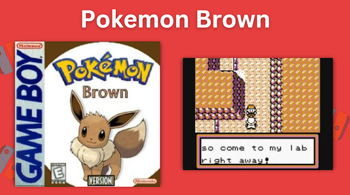 Pokemon Brown ROM hack box art and gameplay